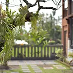 Wooden Villa By Prasi
