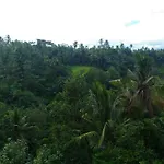 Punia\'S Jungle