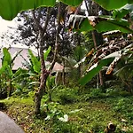 Villa Bawah