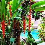 The Sowan Ubud & Organic Spa