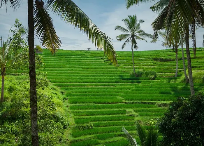 Be Bali Stay