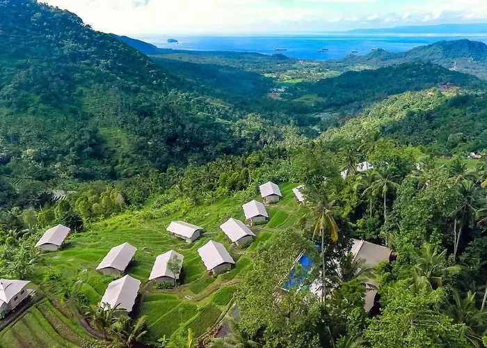 Kaura Bali