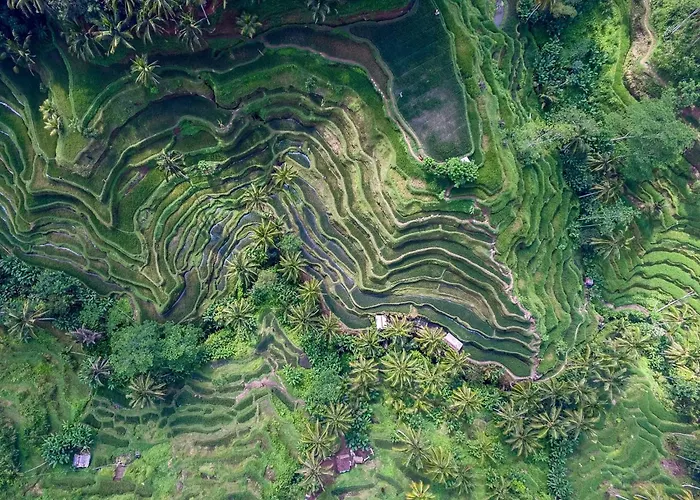 Villa Oia Ubud