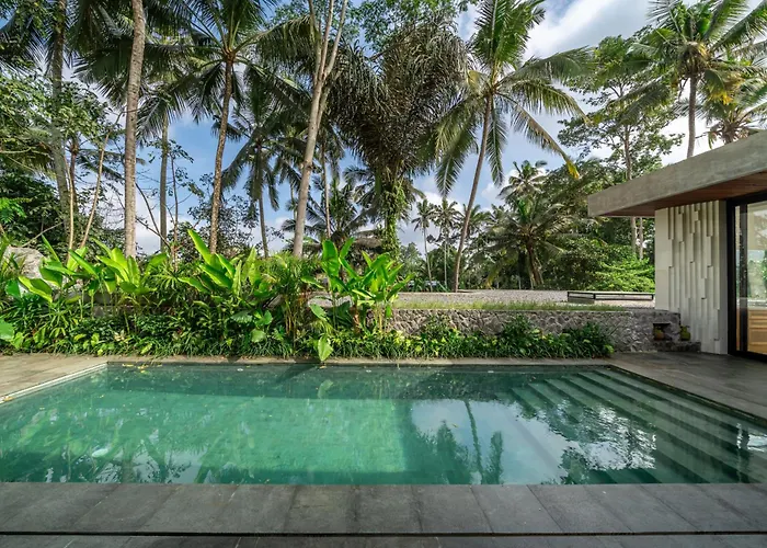 X9 - Promo - Brand New Villa - 3Bdr - Jungle - Ubud