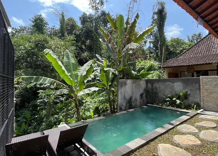 Pis Bolong House