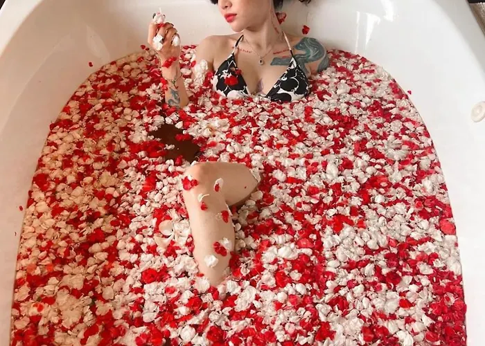 Ariana Suite