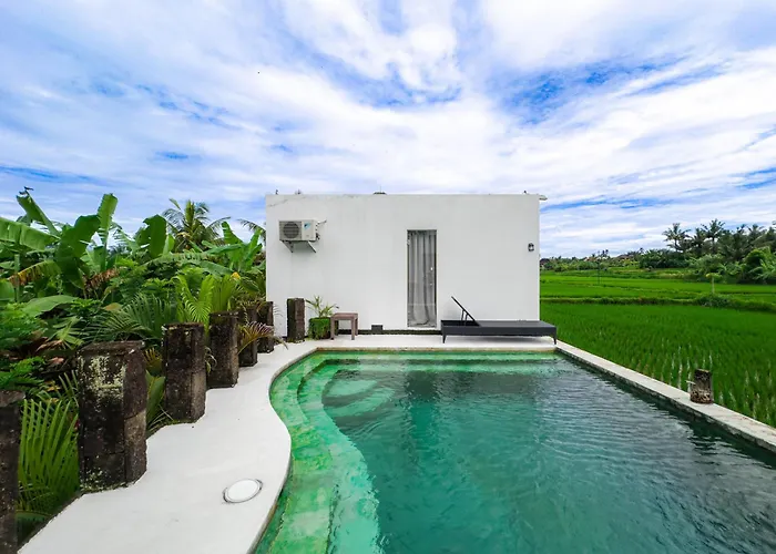 White Cubes Villas