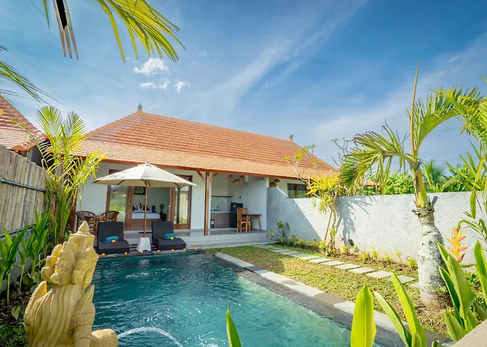 The Wise Ubud