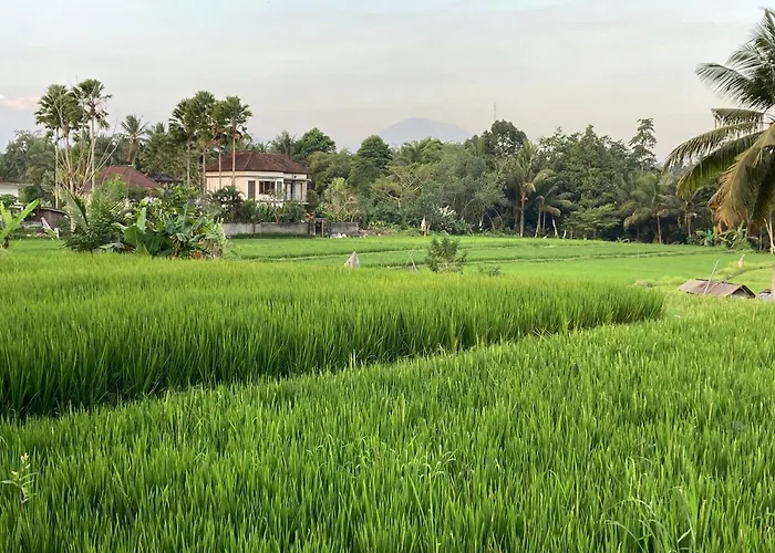 Beautiful Villa In Ubud Center With Pool