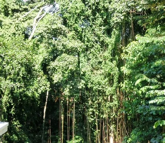 Latugu Homestay Ubud