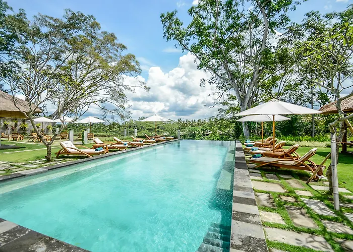 The Pandora Hotel