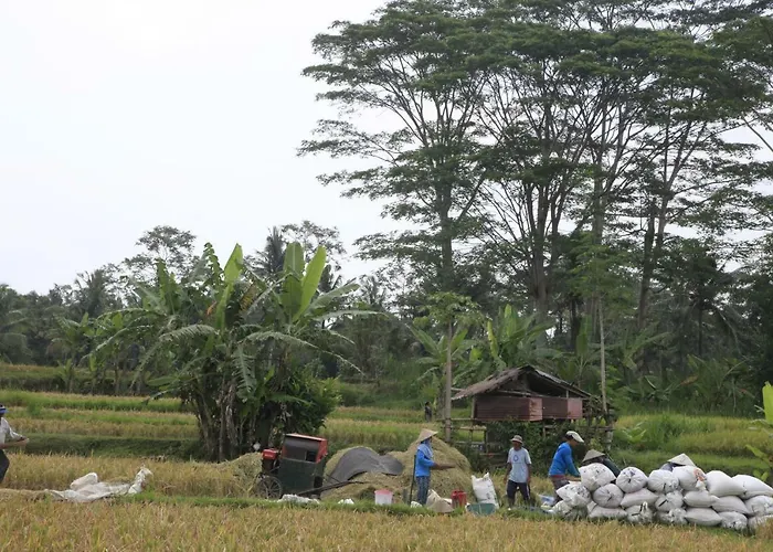 Pondok Gepokan Homestay