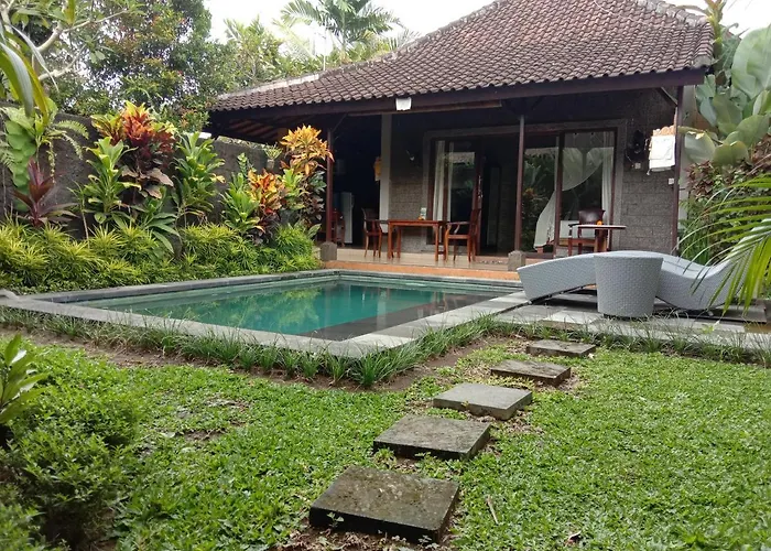 Dedik House