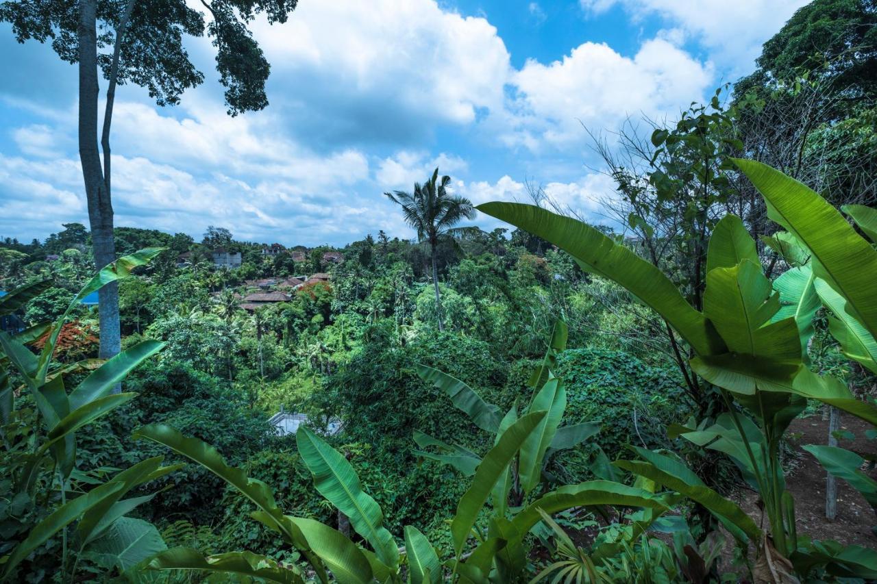 Murni's & 4* Ubud (Bali)