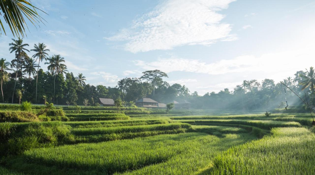 Benisari Batik Garden Lodge Ubud (Bali)
