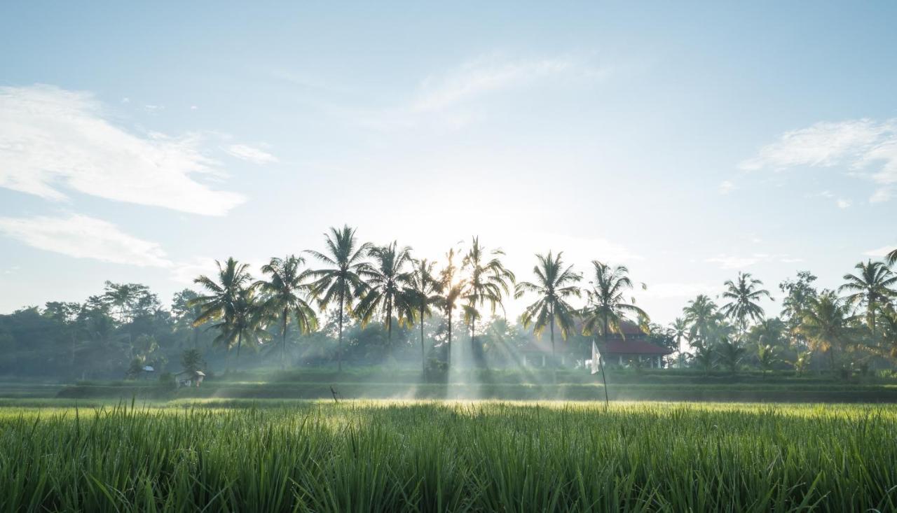 Benisari Batik Garden * Ubud (Bali)