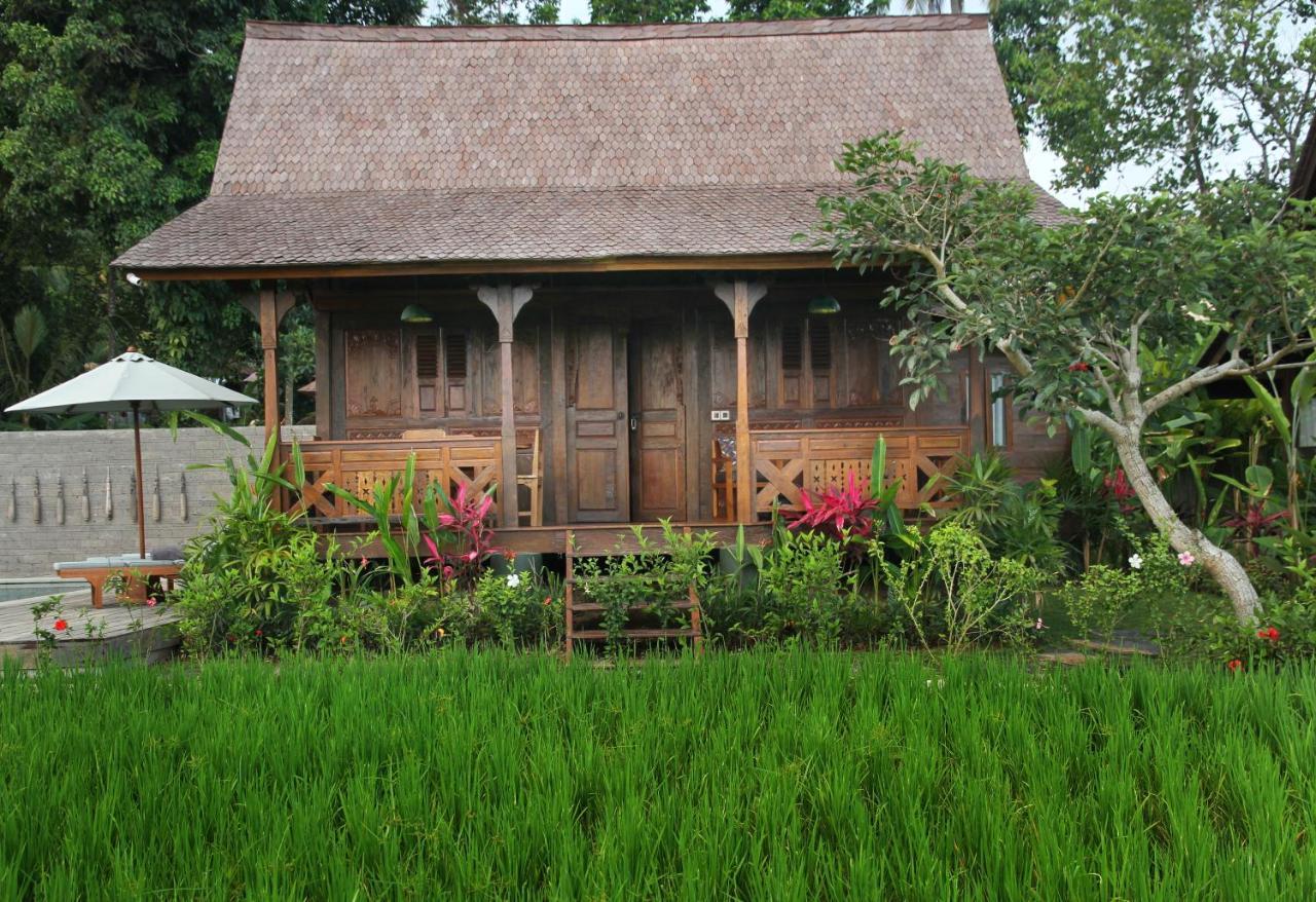 Lodge Benisari Batik Garden