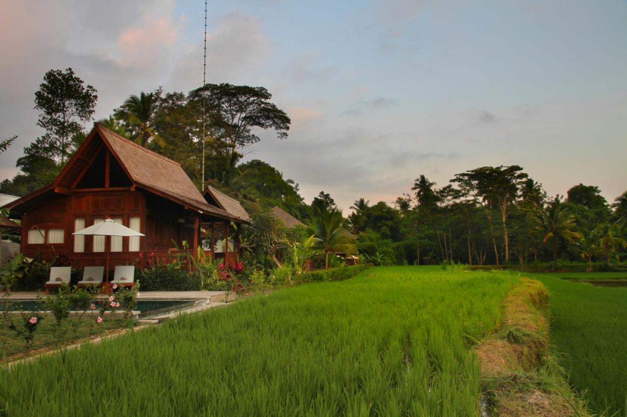 Benisari Batik Garden