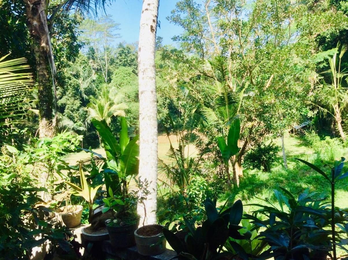 Rumah Irak Et Kadek Bali * Ubud (Bali)