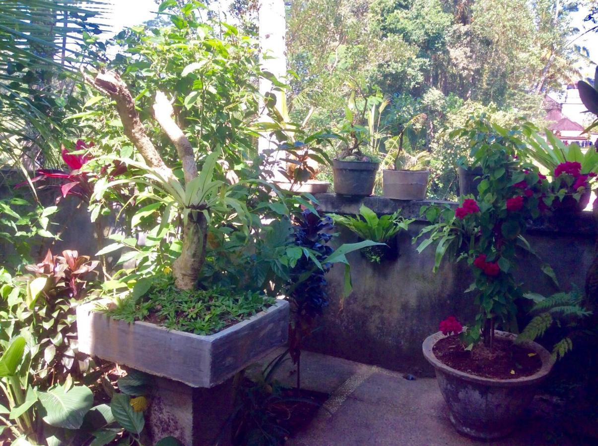 Rumah Irak Et Kadek Bali Ubud (Bali)
