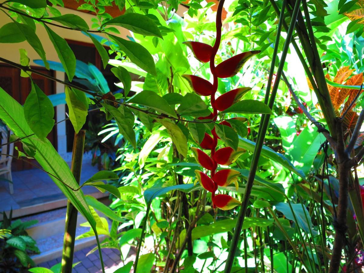 Ladybamboo Bed & Breakfast
