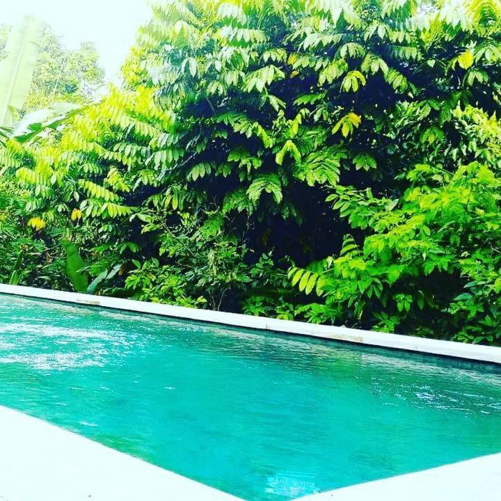 Bismajaya Guest house