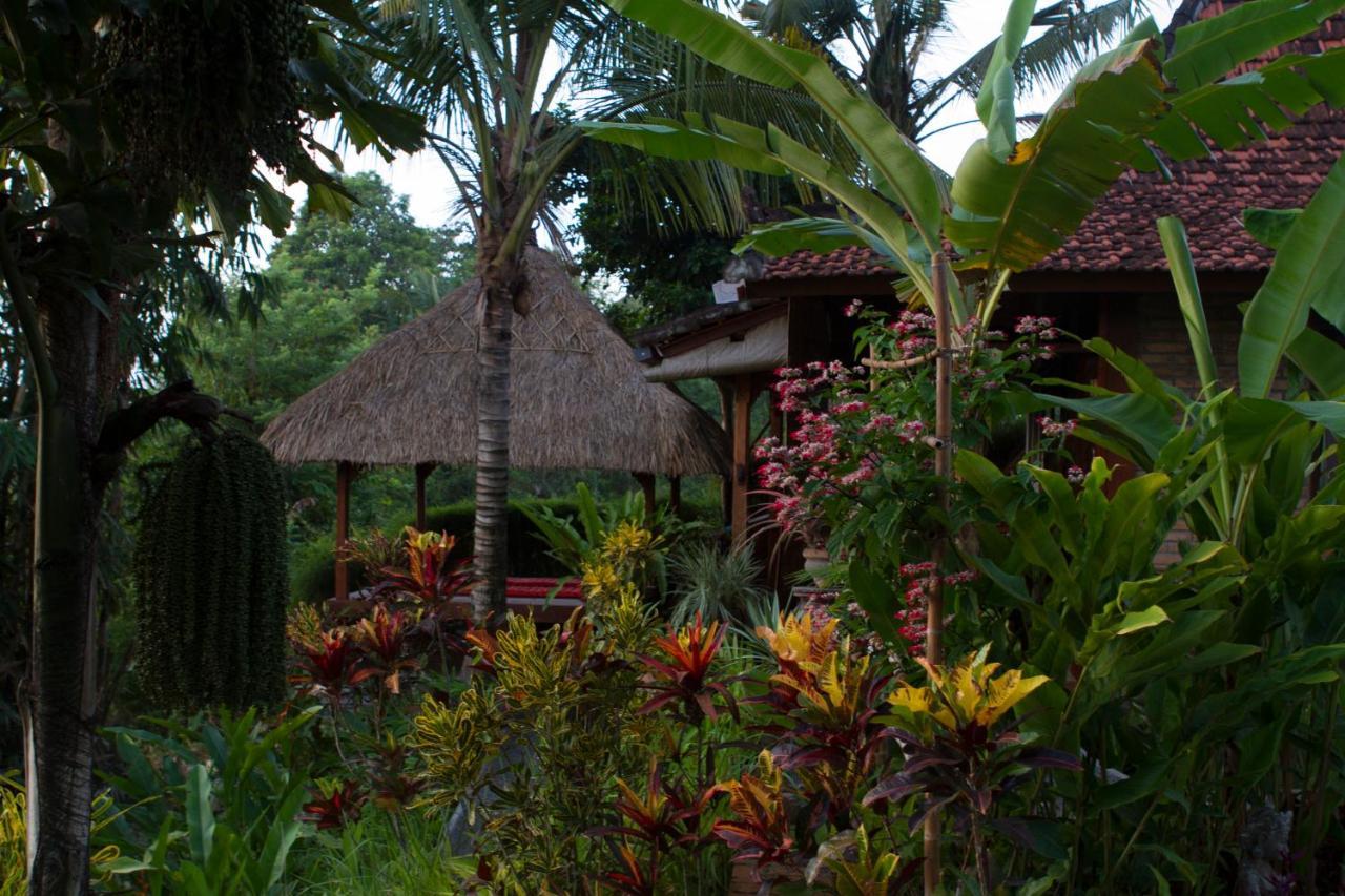 Bed & Breakfast Rumah Sungai