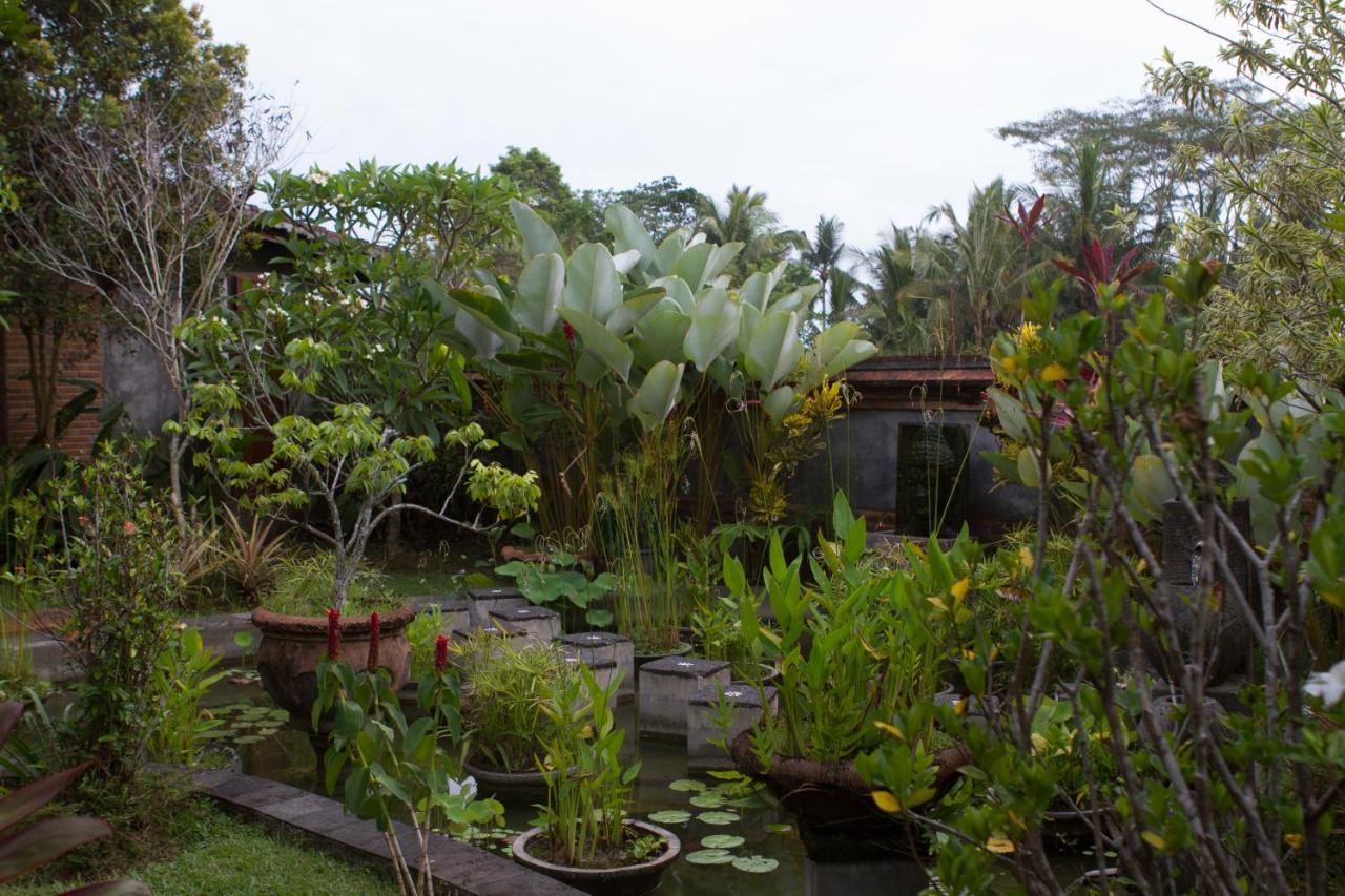 Rumah Sungai 3* Ubud (Bali)