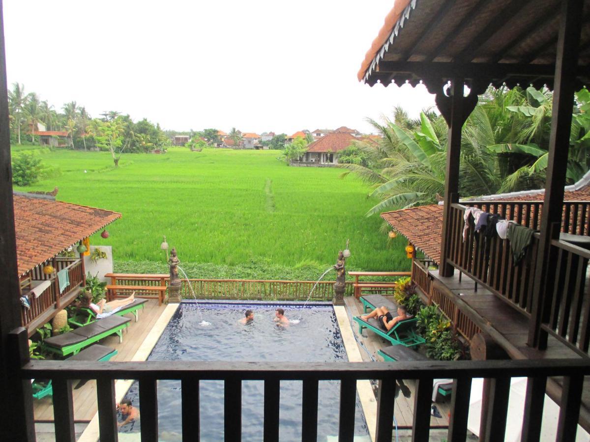 Hostel Paddy & Ubud (Bali)