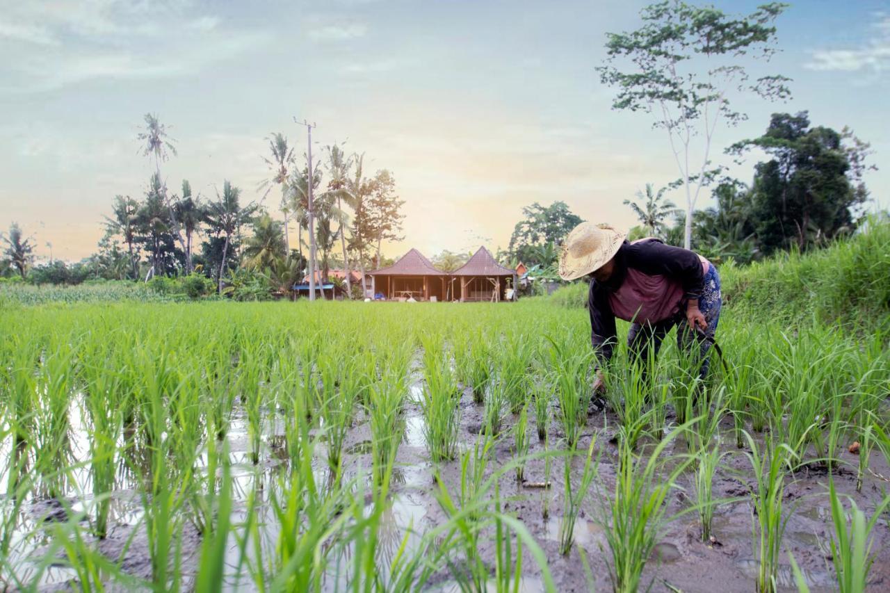 Senja D'ubud Gasthof
