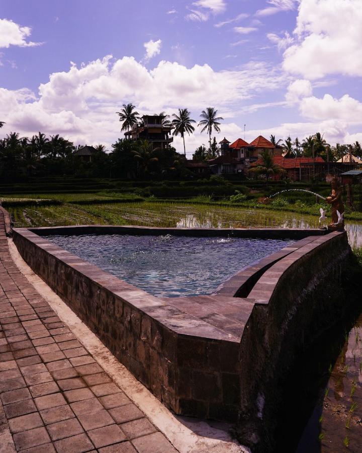 Kidem Guest house 2*