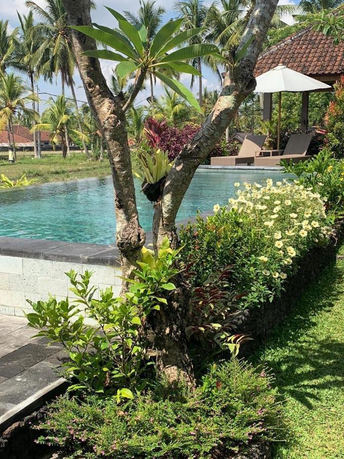 Casa de hóspedes Paraiso