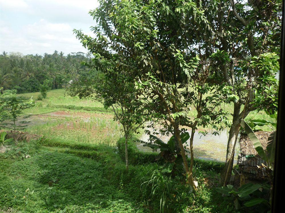 Kudos Guest house