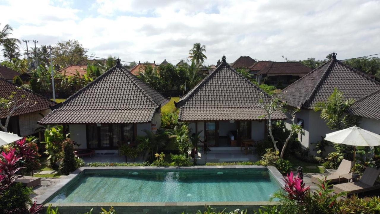Casa de hóspedes Paraiso