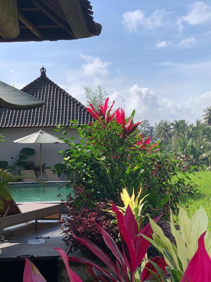 Paraiso 2* Ubud