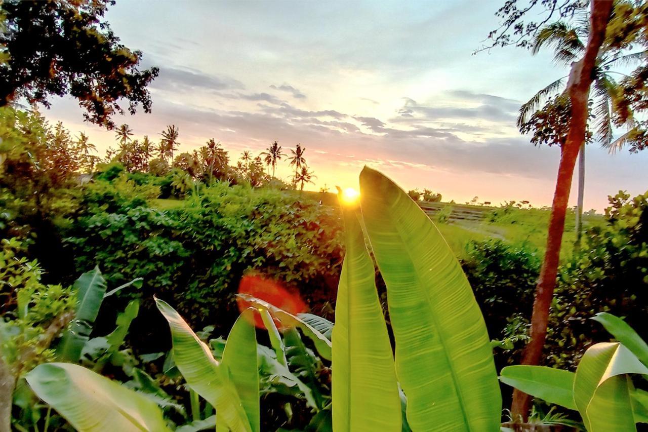 Uma Manyar Sunset Lodge
