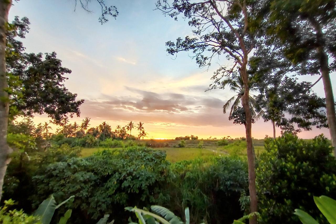 Uma Manyar Sunset *