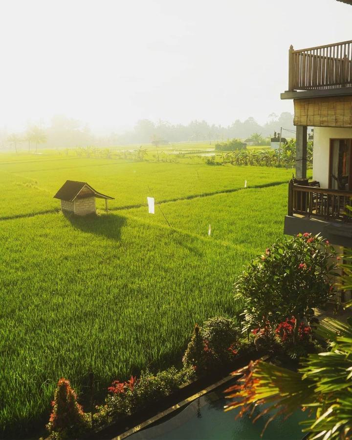 Silas Hotel Ubud