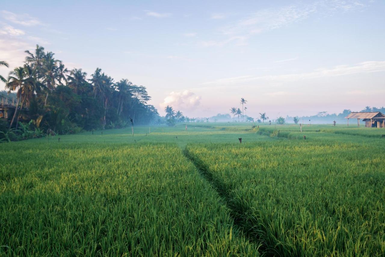 Gracella * Ubud (Bali)
