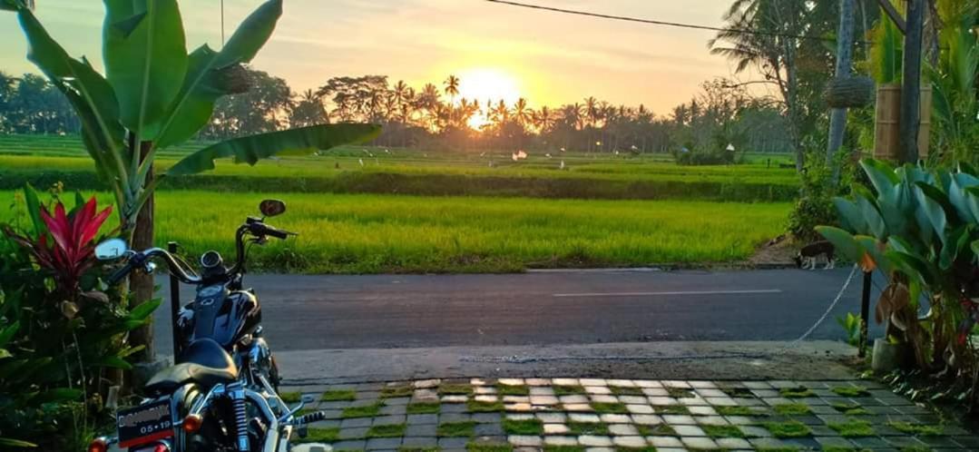 Luxery Family Giri * Ubud (Bali)