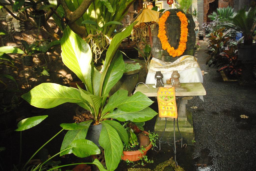Homestay Jangkrik Ubud (Bali)