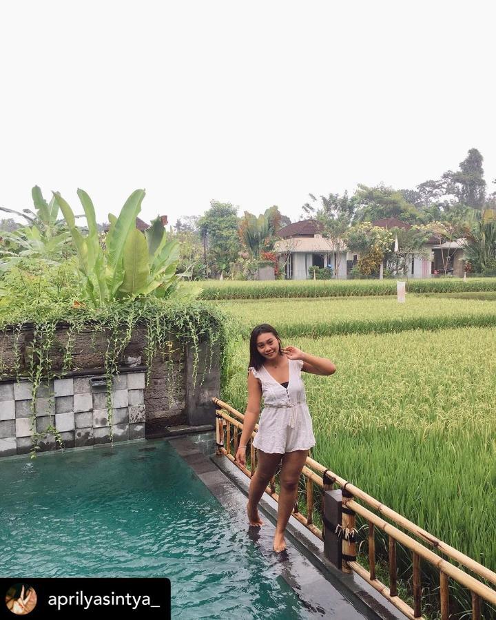 Nirankara Private Pool - By Paradise Frühstückspension Ubud