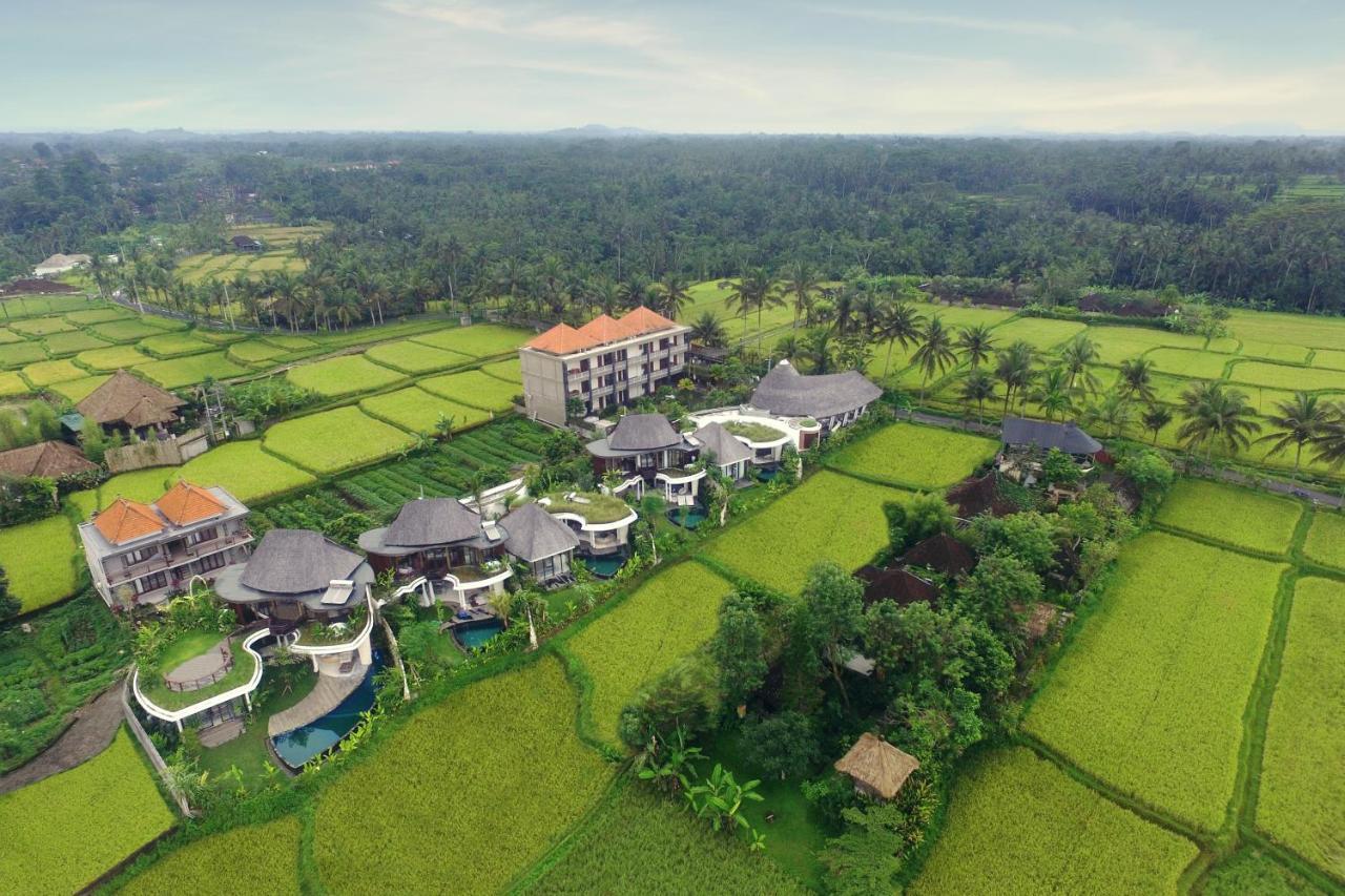Mango * Ubud