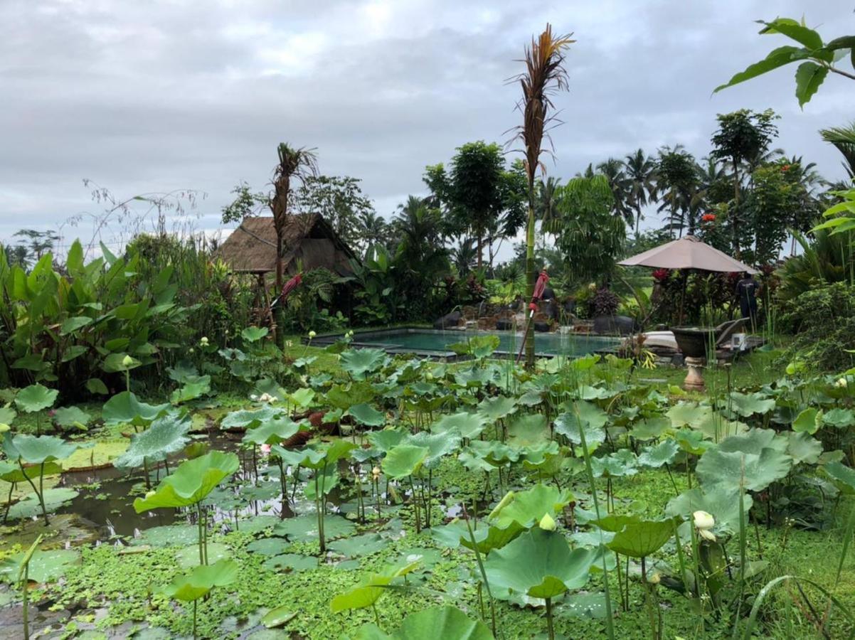 Leke Leke House Tegallalang * Ubud (Bali)