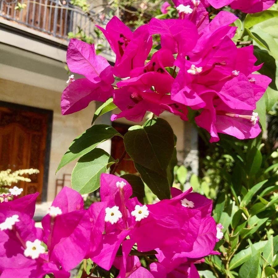 Guest house Wina