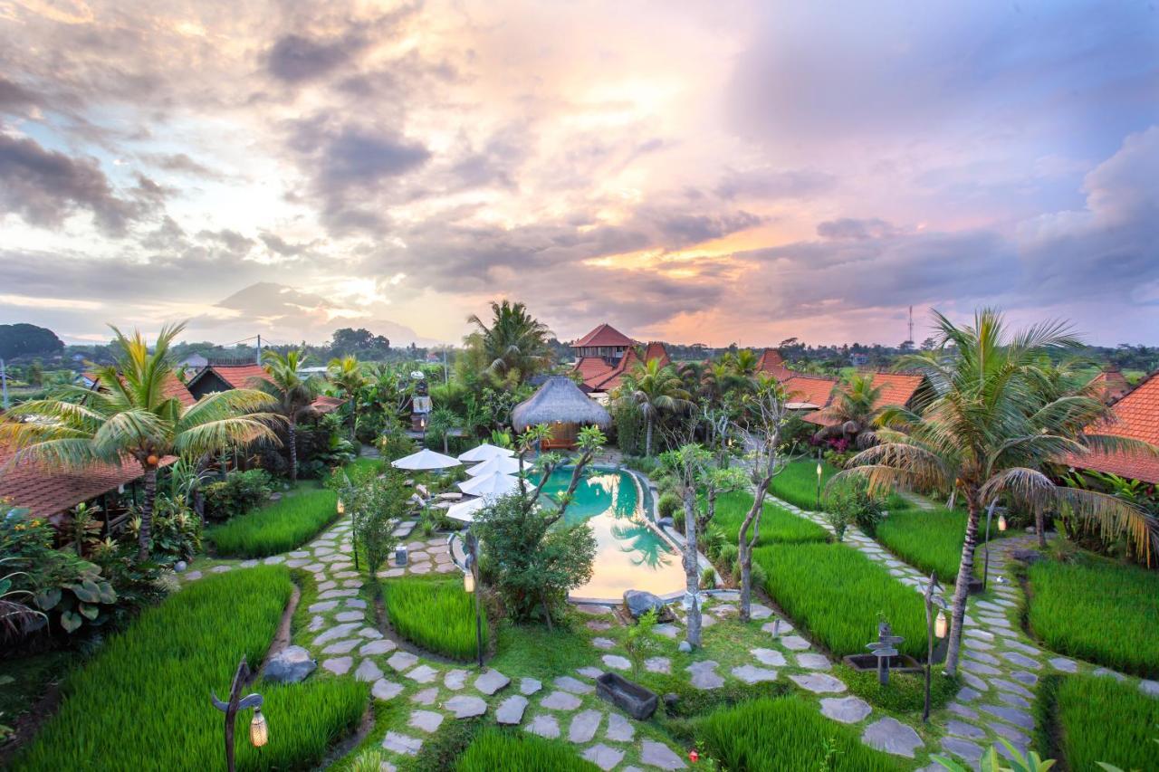 Arya Arkananta & Ubud