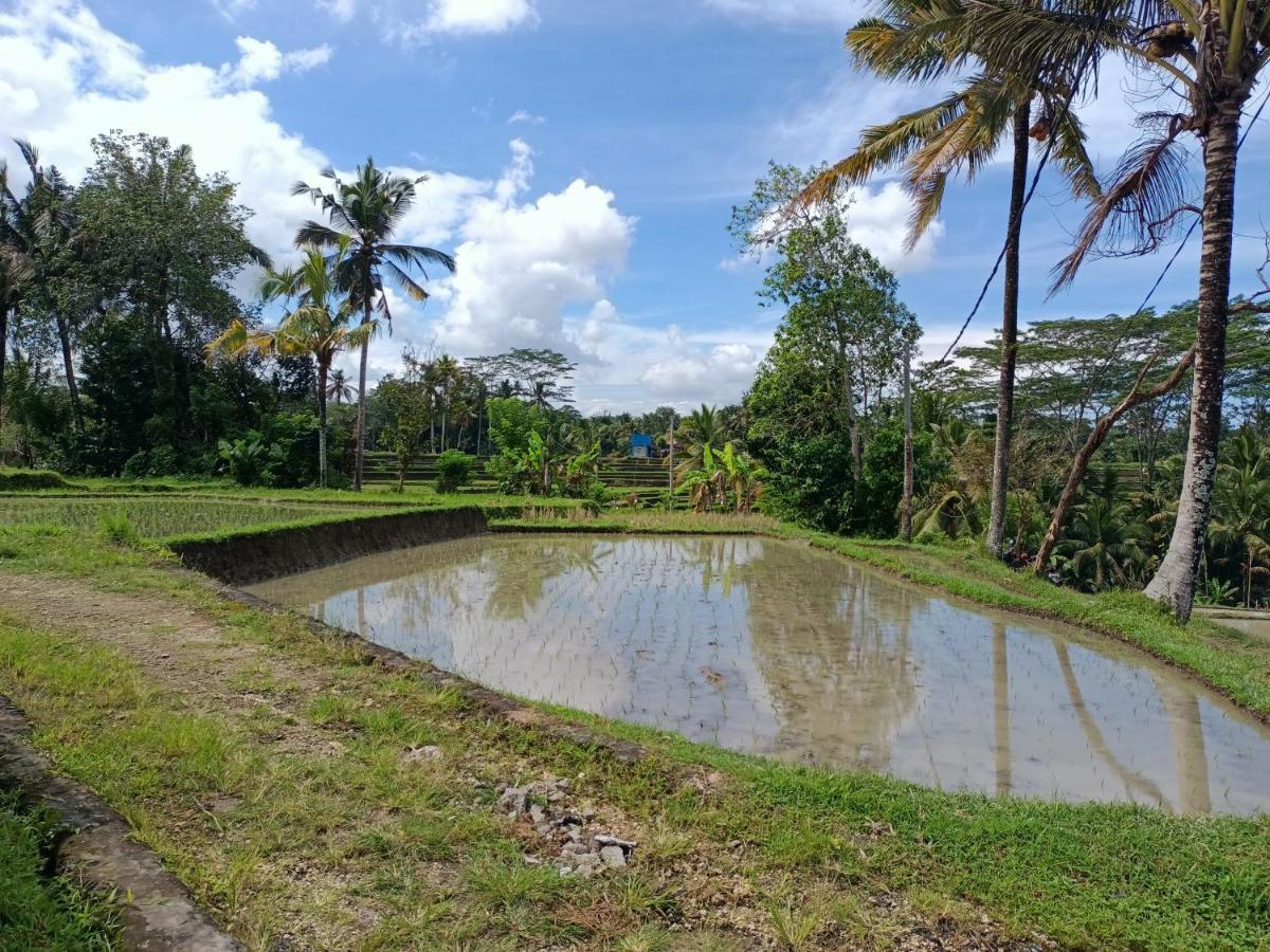 Villa Puri Tangsub Villa Ubud (Bali)