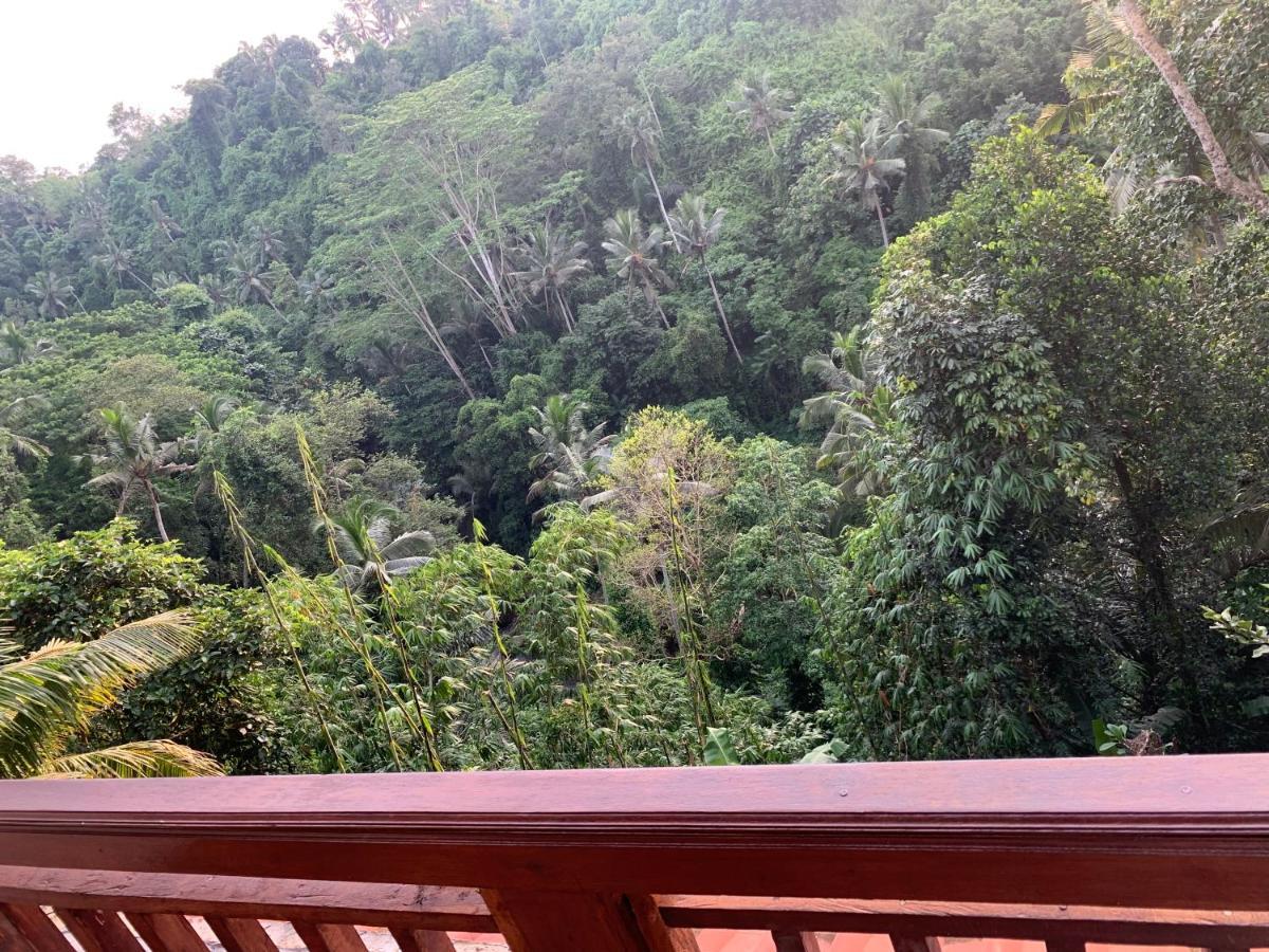 Villa D'tepi House Ubud