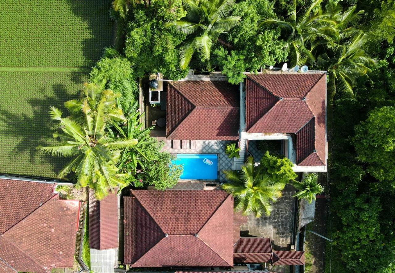 Balimas Guest house *