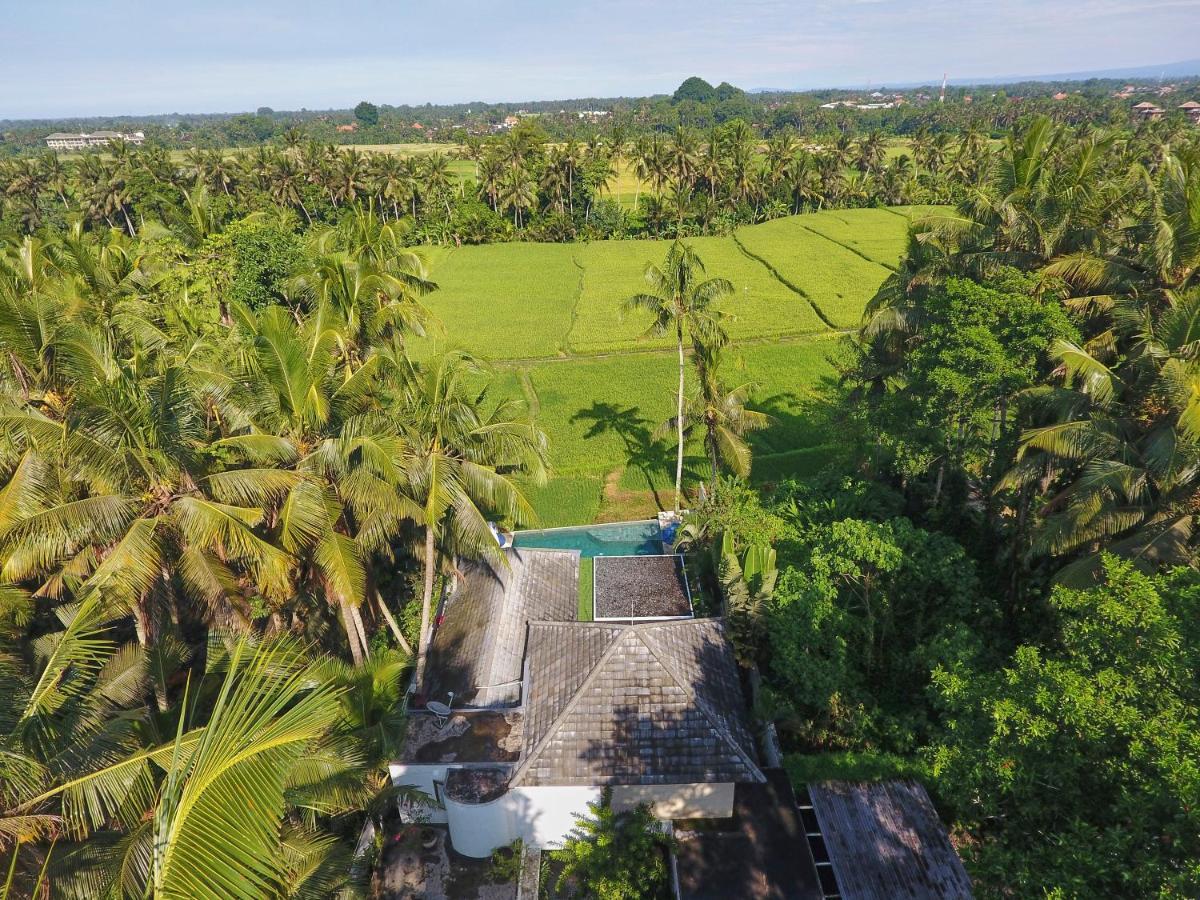 Balinese Luxurious Elegance Vila Ubud (Bali)